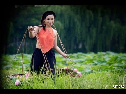 Video ngắn – Giải pháp truyền thông thông minh cho doanh nghiệp nhỏ_Video quảng cáo trên Facebook