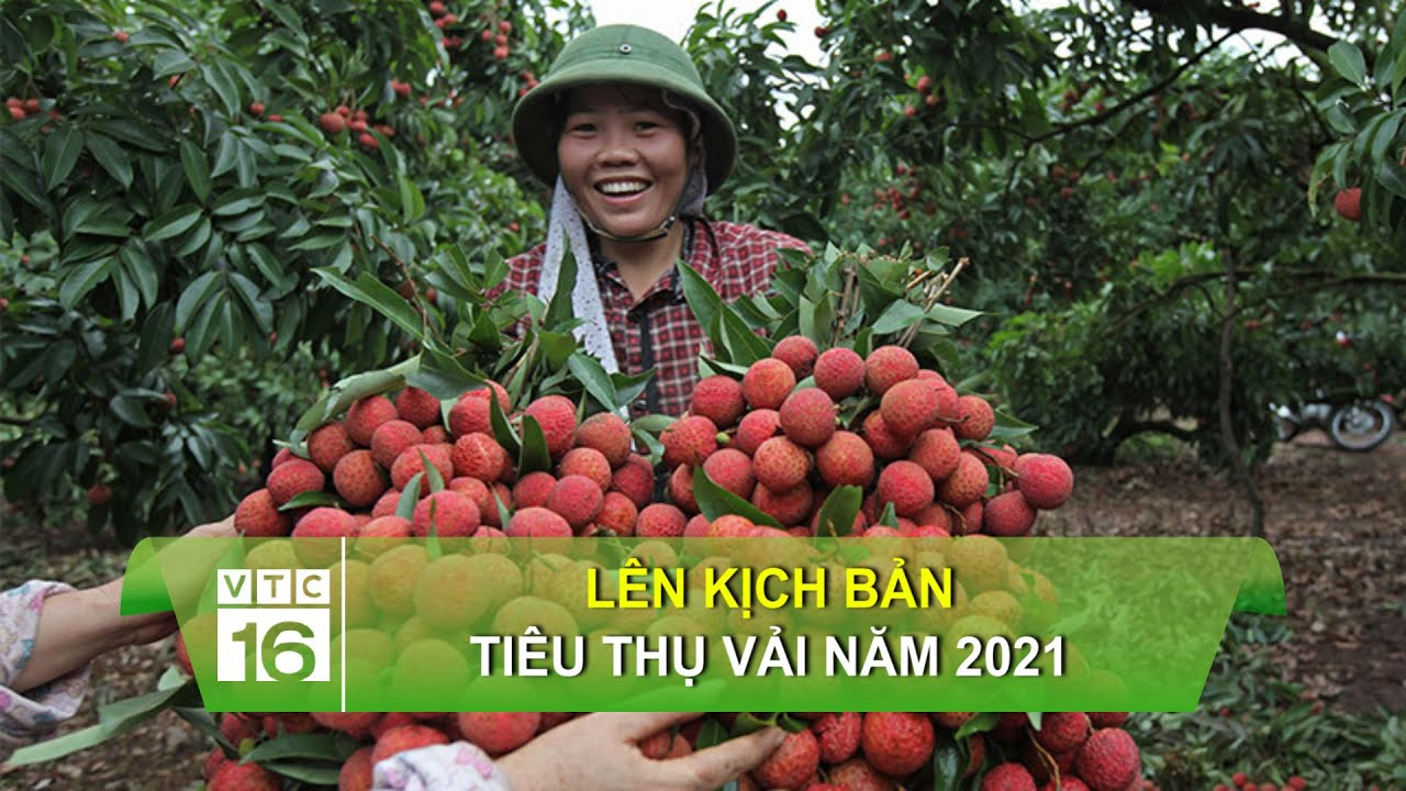 Làm Video Ngắn – Vừa Sáng Tạo, Vừa Kiếm Tiền Với Công Cụ Hữu Ích_Xu hướng video ngắn 2025