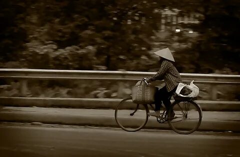 Sự Bùng Nổ Của Video Ngắn và Trí Tuệ Nhân Tạo: Vai Trò Thiết Yếu Của Đào Tạo Kỹ Năng Sáng Tạo Nội Dung_Phần mềm biên tập video miễn phí