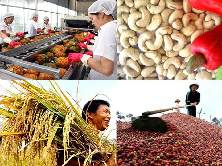 Cách Khởi Nghiệp Kiếm Tiền Bán Thời Gian Dành Cho Người Mới